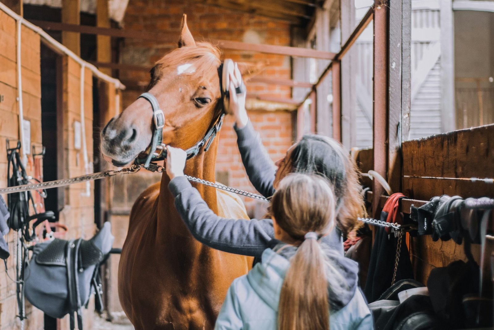 Horses with H.E.A.R.T., Inc.