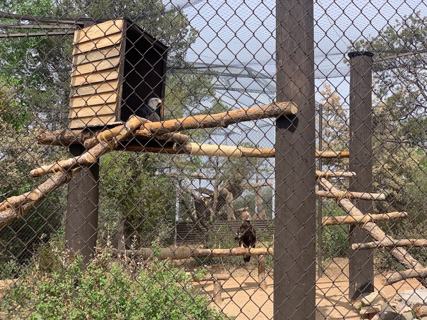 Heritage Park Zoo Sanctuary