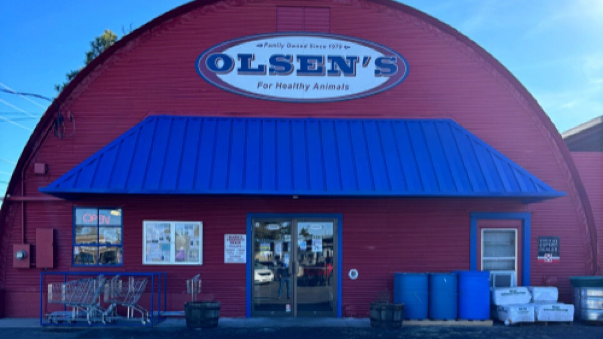 Olsen's Grain