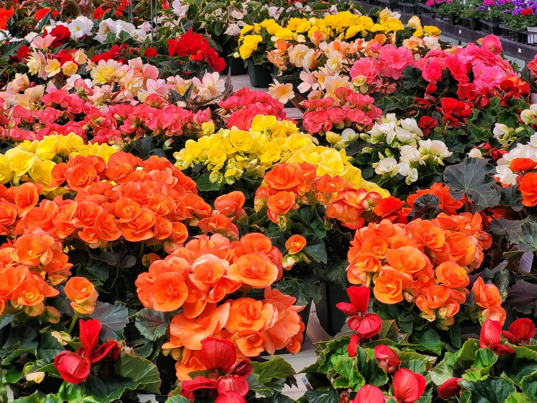 Watters Garden Center