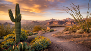 Arizona-Sonora Desert Museum: The Tucson Place Where the Desert Comes Alive Arizona-Sonora Desert Museum: The Tucson Place Where the Desert Comes Alive