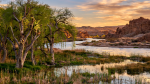 Havasu National Wildlife Refuge: The Arizona River Landscape That Keeps a Desert Passage Open Havasu National Wildlife Refuge: The Arizona River Landscape That Keeps a Desert Passage Open