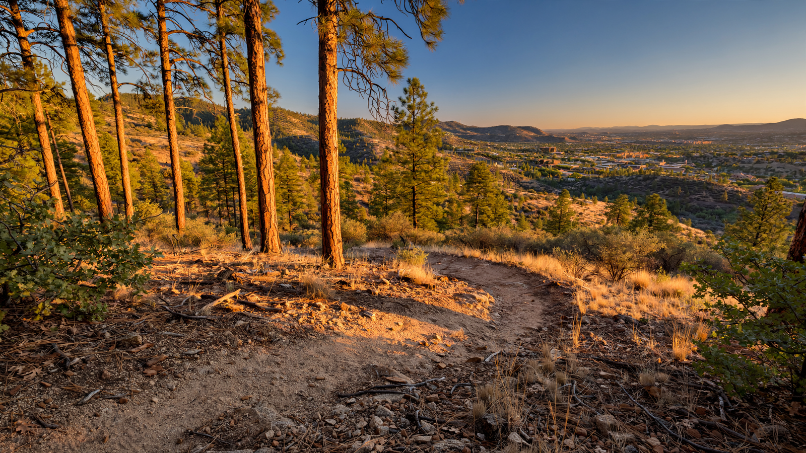Prescott National Forest: How a Working Forest Holds a High-Desert City Together