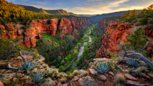 Sycamore Canyon: How a Wild Arizona Corridor Keeps Water, Stone, and Forest Together