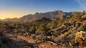 The Bradshaw Mountains: How Yavapai County’s Old Range Became a Public Landscape The Bradshaw Mountains: How Yavapai County’s Old Range Became a Public Landscape