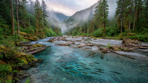 The Elwha River Is Running Free Again—and Life Is Returning With It The Elwha River Is Running Free Again—and Life Is Returning With It