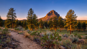 Thumb Butte: The Prescott Landmark That Keeps a Working Forest Close