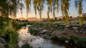 Watson Woods: The Prescott Preserve Where a Desert Creek Still Makes Room for Life