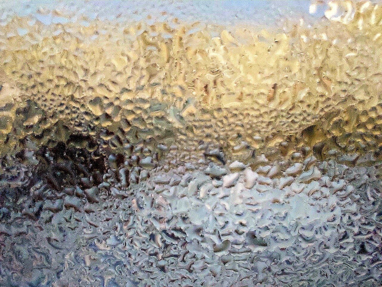 20260114 Window Sweat.jpg