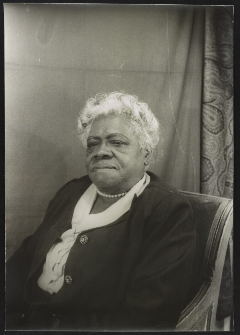 Mary McLeod Bethune by Carl Van Vechten - Original.tiff