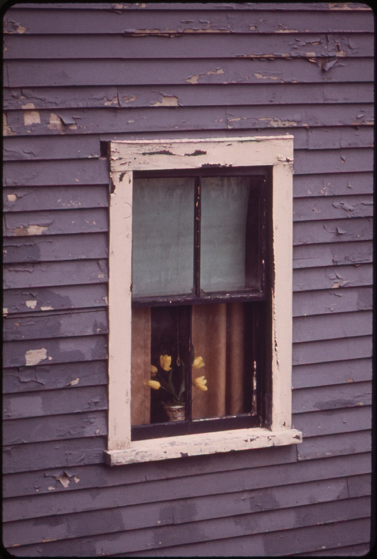 PEELING PAINT ON THIS NEPTUNE ROAD HOUSE TYPIFIES NEGLECT OF EXTERIOR HOME MAINTENANCE BY RESIDENTS OF THIS... - NARA - 549289.jpg