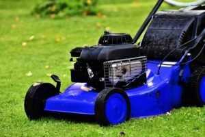 A Healthier Lawn May Start With Mowing It Higher pixabay-a-healthier-lawn-may-start-with-mowing-it-higher