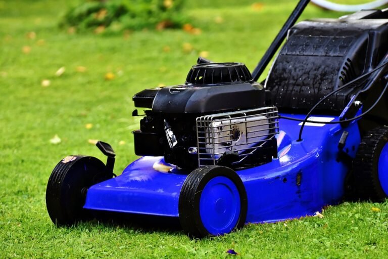 pixabay-a-healthier-lawn-may-start-with-mowing-it-higher