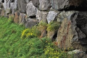 Adobe Homes in Arizona: How to Keep Earth-Built Walls in Good Shape pixabay-adobe-homes-in-arizona-how-to-keep-earth-built-walls-in-goo