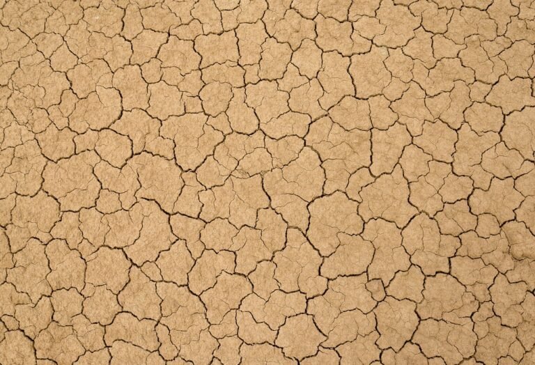 pixabay-clay-soil-is-not-fixed-by-adding-sand-what-gardeners-can-do