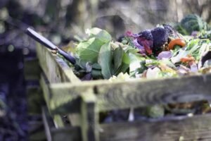 pixabay-compost-is-more-than-plant-food-how-finished-organic-matter