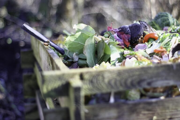pixabay-compost-is-more-than-plant-food-how-finished-organic-matter