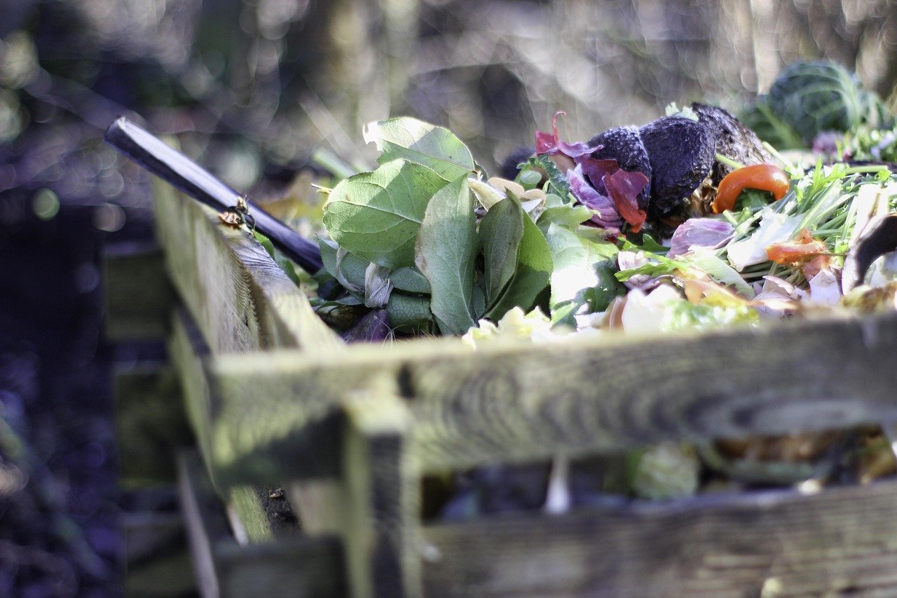 pixabay-compost-is-more-than-plant-food-how-finished-organic-matter