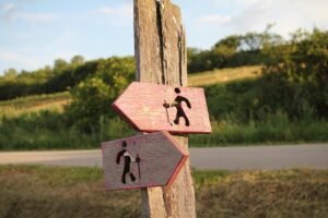 pixabay-gbif-the-global-directory-that-shows-where-life-has-been-re