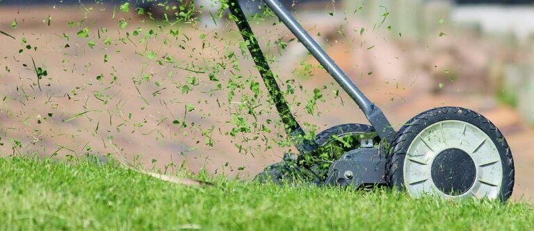 pixabay-grasscycling-how-leaving-lawn-clippings-can-feed-your-grass