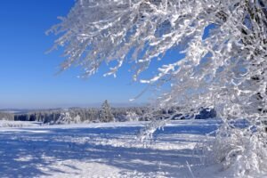 Heat Pump Covered in Frost? What’s Normal—and When to Call for Help pixabay-heat-pump-covered-in-frost-whats-normal-and-when-to-ca