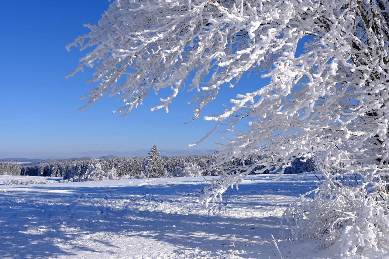 pixabay-heat-pump-covered-in-frost-whats-normal-and-when-to-ca