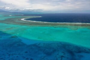 How Seabirds Are Rebuilding Coral Reefs: New Science Links Island Restoration to Reef Recovery pixabay-how-seabirds-are-rebuilding-coral-reefs-new-science-links-i