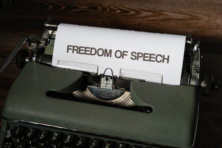 pixabay-how-the-universal-declaration-of-human-rights-became-a-globa