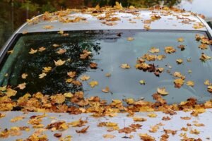 pixabay-how-to-clear-a-fogged-windshield-safely