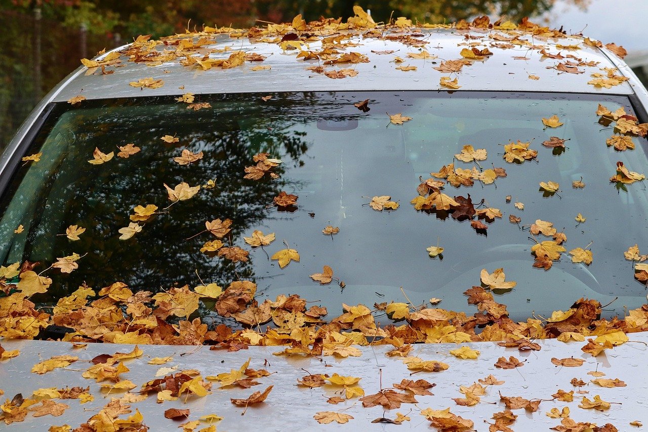 pixabay-how-to-clear-a-fogged-windshield-safely