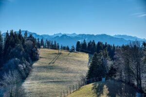 How to Freeze Your Credit for Free—and Lift It When You Need To pixabay-how-to-freeze-your-credit-for-free-and-lift-it-when-you-ne