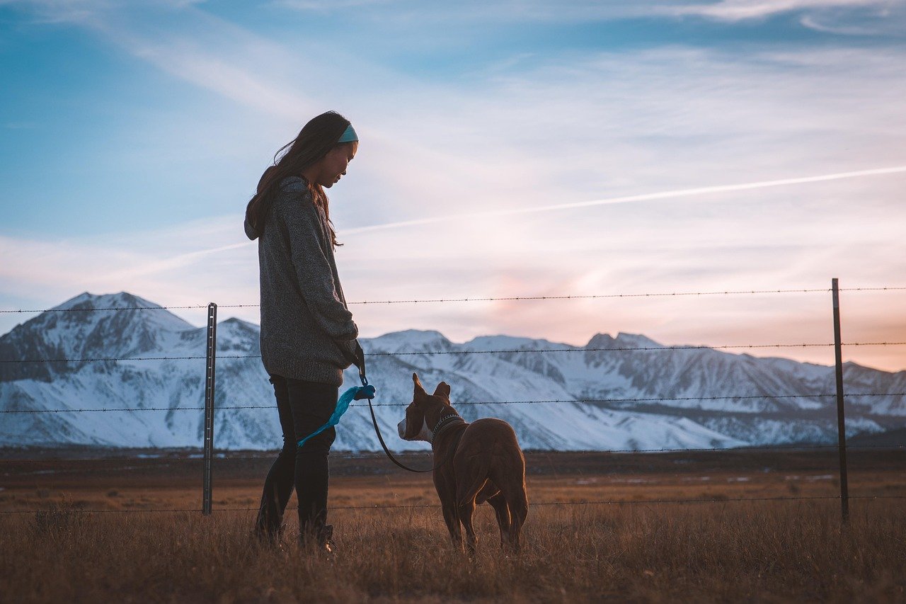 pixabay-how-to-teach-your-dog-to-walk-on-a-loose-leash