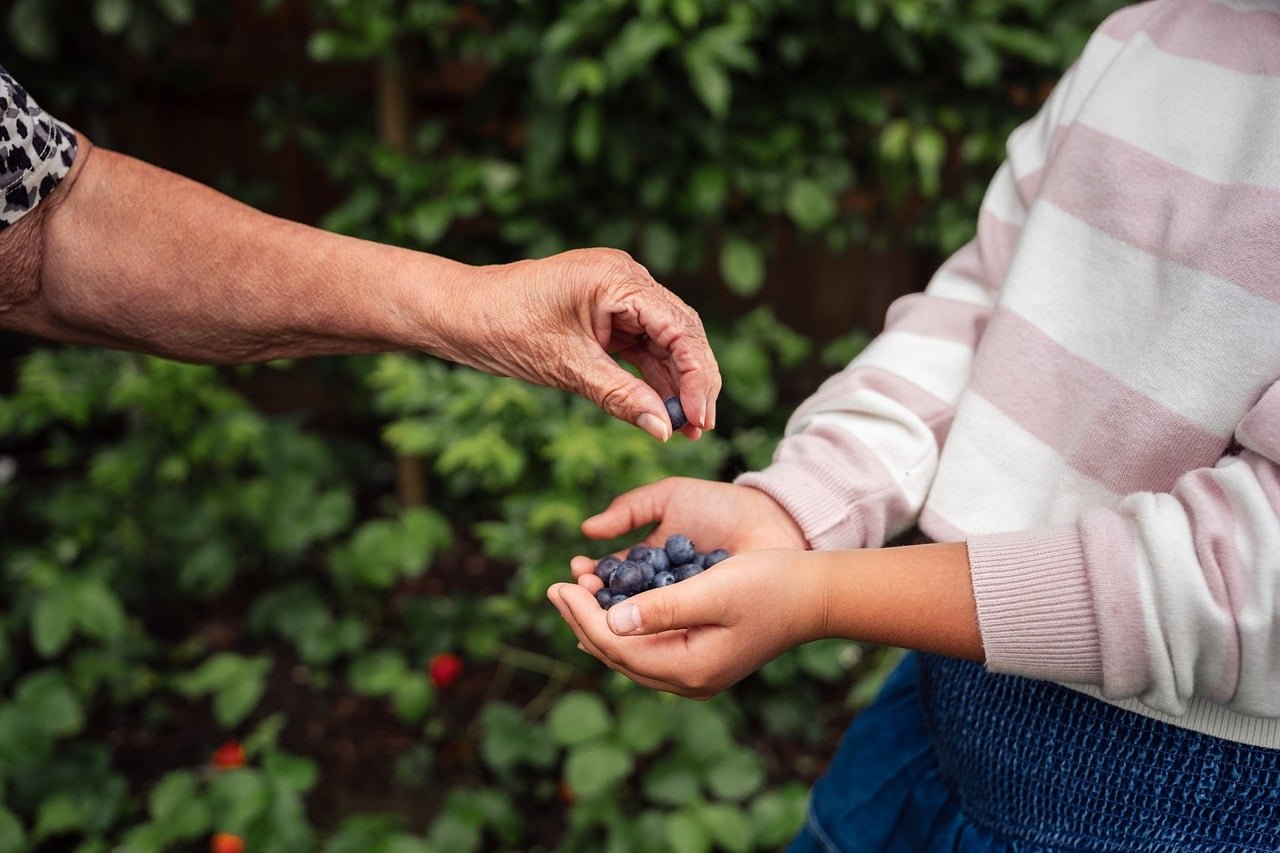 pixabay-philadelphias-community-gardens-turn-shared-care-into-a-n