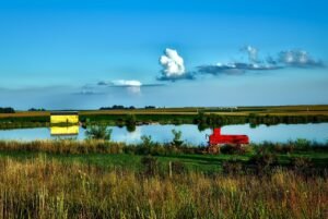 Prairie Strips: Small Patches of Native Habitat With Outsized Benefits on Iowa Farms pixabay-prairie-strips-small-patches-of-native-habitat-with-outsize