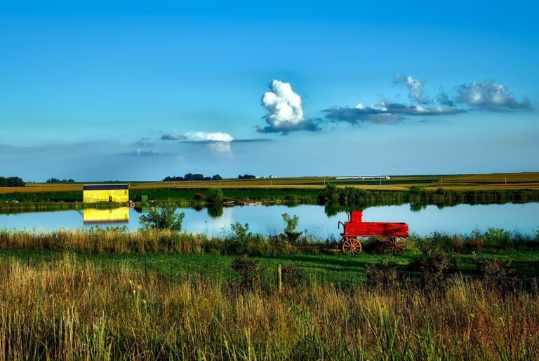 pixabay-prairie-strips-small-patches-of-native-habitat-with-outsize