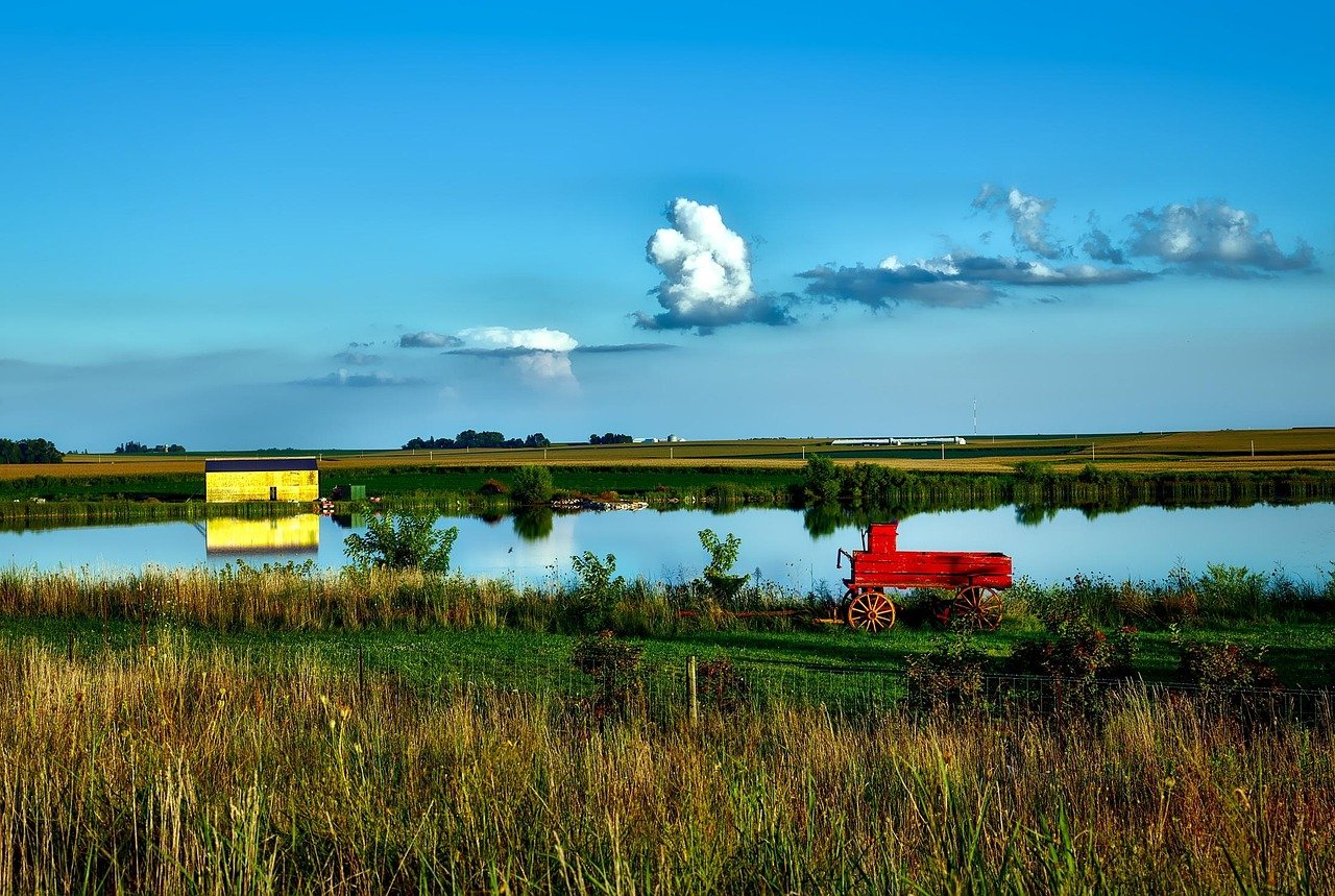 pixabay-prairie-strips-small-patches-of-native-habitat-with-outsize