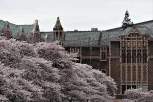 Saving the Poem That Lives Online: Washington University’s Born‑Digital Poetry Project Gives Poets Practical Tools to Preserve Work pixabay-saving-the-poem-that-lives-online-washington-universitys
