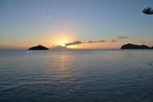 The Lord Howe Island Stick Insect’s Long Road Back Home pixabay-the-lord-howe-island-stick-insects-long-road-back-home