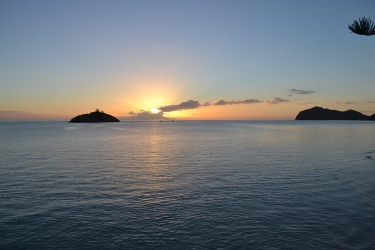 pixabay-the-lord-howe-island-stick-insects-long-road-back-home