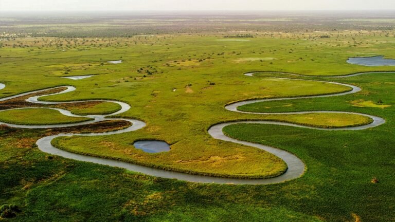 pixabay-the-okavango-delta-floods-when-the-surrounding-land-turns-dr