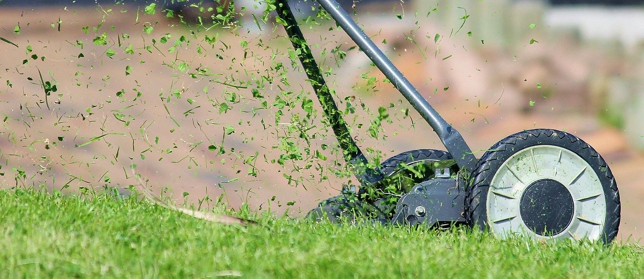 pixabay-the-one-third-rule-how-to-mow-a-lawn-without-cutting-it-bac