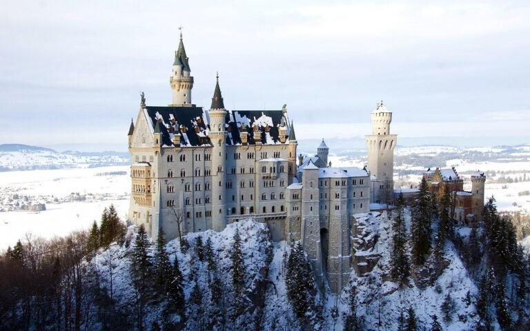 pixabay-the-snowy-day-made-an-ordinary-winter-walk-a-picture-book-la