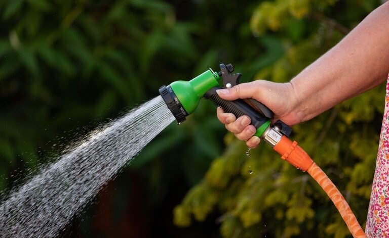 pixabay-watering-a-newly-planted-tree-check-the-root-ball-before-yo