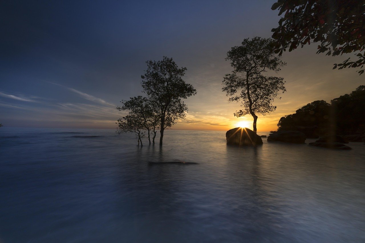 pixabay-when-mangroves-come-back-so-does-climate-benefit-how-bette