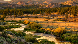 Prescott Is More Than a Pin on the Map: Four Stories Reveal Its Overlapping Landscapes Prescott Is More Than a Pin on the Map: Four Stories Reveal Its Overlapping Landscapes