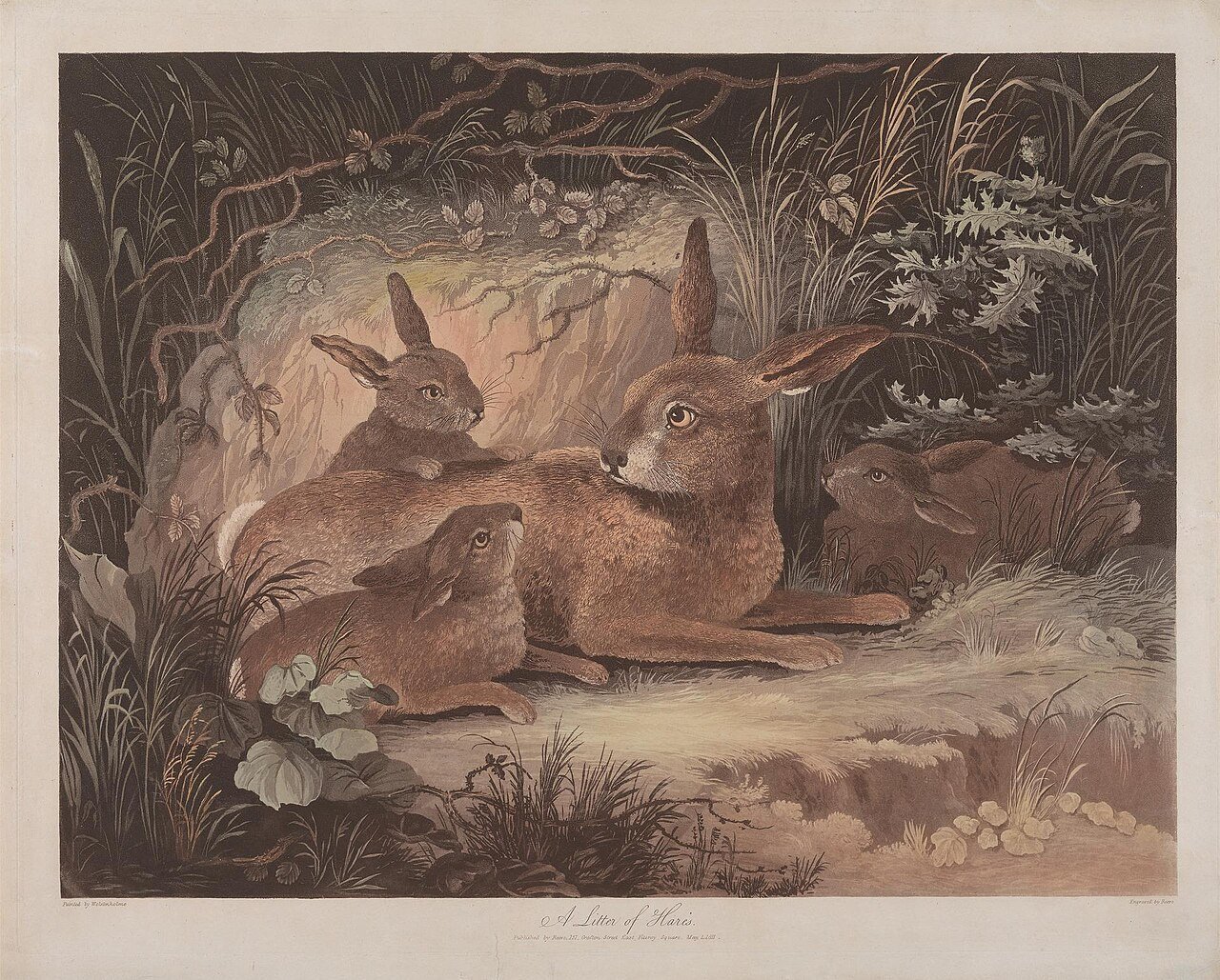Richard Gilson Reeve - Set of four, (3) A Litter of Hares - B1985.36.1269 - Yale Center for British Art.jpg