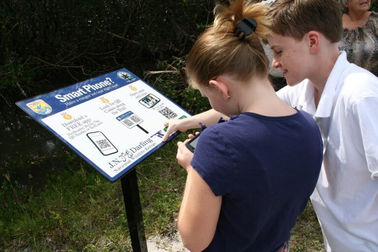the-qr-code-how-a-factory-tool-became-a-global-language-for-featured.jpg