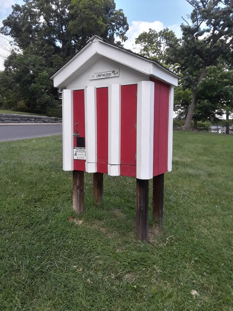VSDB Little Free Library 1.jpg
